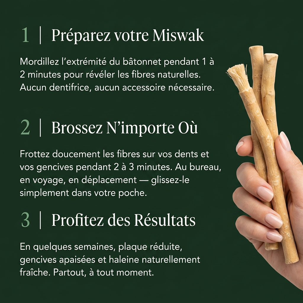 Miswak - Brosse à Dents Naturelle (lot de 3)