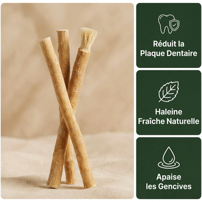 Miswak - Brosse à Dents Naturelle (lot de 3)