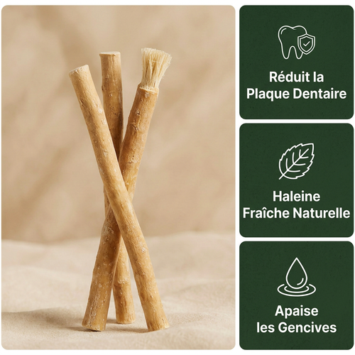 Miswak - Brosse à Dents Naturelle (lot de 3)
