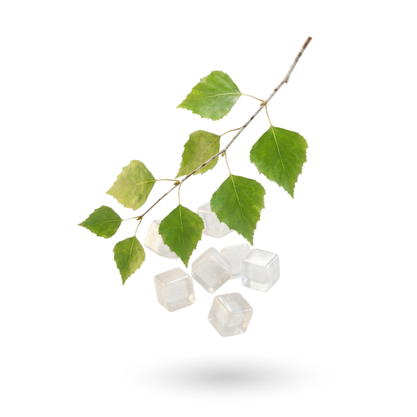 Xylitol + érythritol